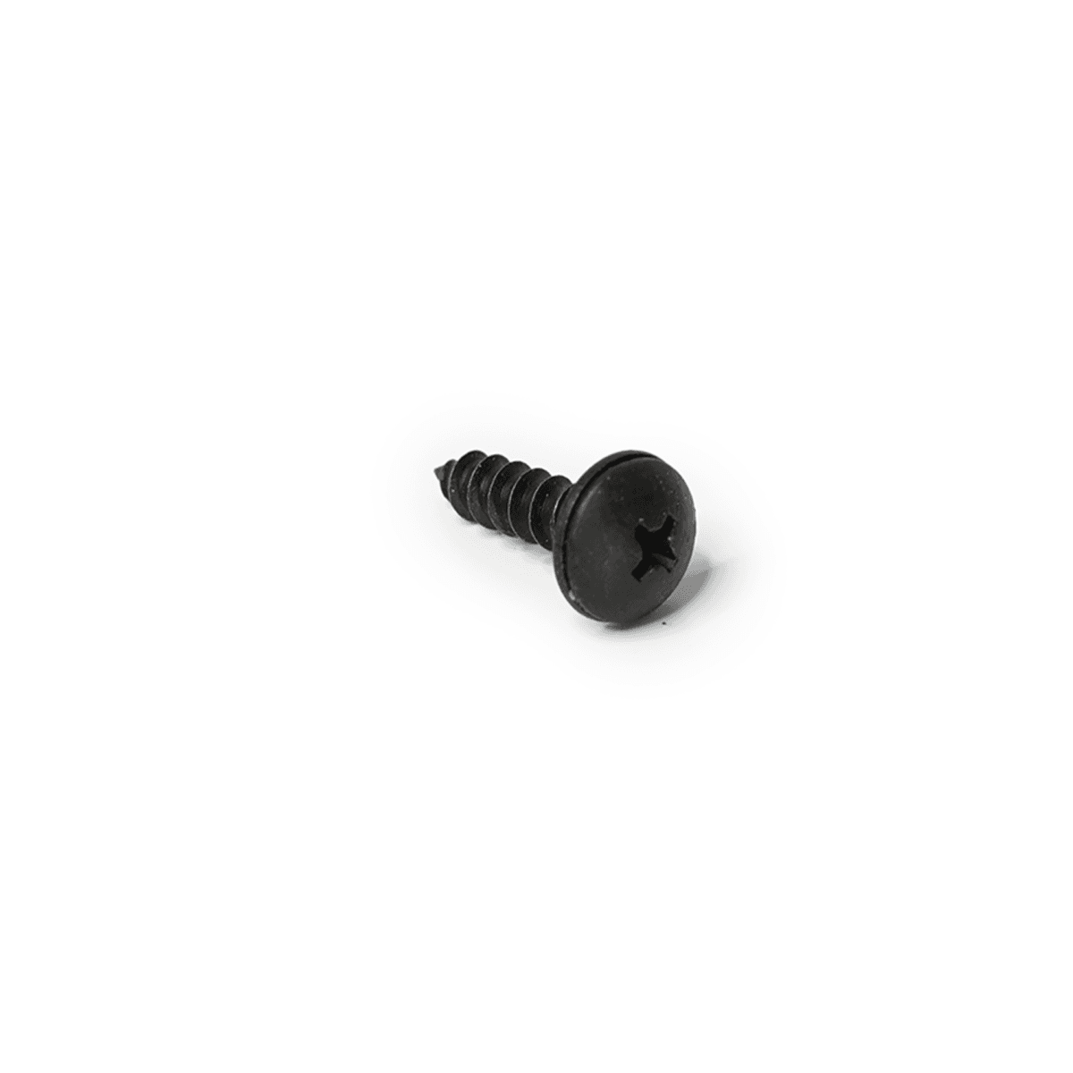Integra Type R Front Spoiler Screw