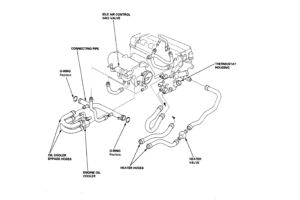 B-series Bypass Outlet Hose