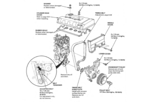 B18C/B16B Timing Belt