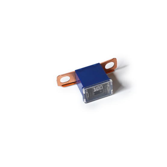 100 Amp Fuse