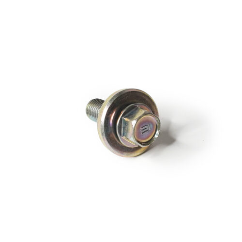 B-Series Cam Gear Bolt — 10 × 30 mm